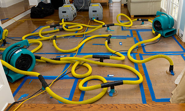 Professional Crawl Space Water Removal technician working in Paris, OH